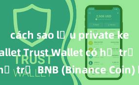 cách sao lưu private key trust wallet Trust Wallet có hỗ trợ BNB (Binance Coin) không?